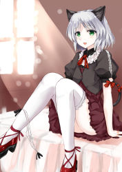 Rule 34 | 1girl, alternate costume, animal ears, arm support, blush, bow, cat ears, cat tail, green eyes, kamishiro ryuu, open mouth, panties, panties around leg, ribbon, sanya v. litvyak, short hair, silver hair, smile, solo, strike witches, sunlight, tail, tail ornament, tail ribbon, thighhighs, underwear, white thighhighs, window, world witches series