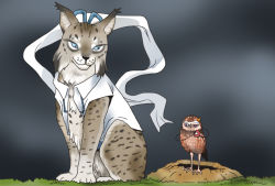 Rule 34 | animalization, bird, blue eyes, burrowing owl, dress, kaku seiga, komeiji satori, lynx, onikobe rin, owl, shawl, third eye, touhou