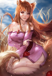 Rule 34 | 1girl, animal ears, apple, bare shoulders, blue sky, blush, breasts, brown eyes, brown hair, holo, long hair, looking at viewer, realistic, red eyes, sakimichan, sitting, solo, spice and wolf, tail, wheat, wolf ears, wolf tail