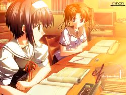 Rule 34 | 00s, ef (visual novel), hayama mizuki, school uniform, serafuku, shindou kei (ef), studying, tagme