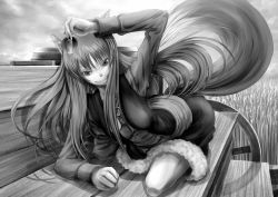 Rule 34 | 1girl, animal ears, apple, bad id, bad pixiv id, food, fruit, greyscale, holo, long hair, minusion, monochrome, solo, spice and wolf, tail, wheat, wolf ears