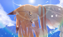 Rule 34 | 1girl, above clouds, absurdres, animal ears, bathrobe, blonde hair, blue sky, blush, breasts, closed mouth, cloud, cloudy sky, day, fox ears, fox girl, hair between eyes, highres, holding, huge filesize, large breasts, long hair, looking at viewer, moe2021, orange eyes, original, outdoors, overcast, sky, smile, solo, standing, sun, sunlight, swimsuit, white bathrobe