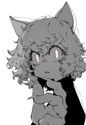 Rule 34 | 1other, animal ears, cat ears, curly hair, fingernails, hand up, highres, hunter x hunter, looking at viewer, medium hair, neferpitou, parted lips, sharp fingernails, simple background, slit pupils, solo, ssambatea, upper body, white background, wide-eyed