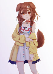 Rule 34 | 1girl, :3, animal ears, blush, bone hair ornament, braid, breasts, brown hair, choker, cleavage, closed mouth, commentary, cowboy shot, dog ears, dog girl, dog tail, dress, fmg, hair between eyes, hair ornament, highres, hololive, inugami korone, inugami korone (1st costume), jacket, lips, looking at viewer, medium breasts, medium hair, off shoulder, open clothes, open jacket, red choker, red eyes, short dress, side braids, simple background, sleeveless, sleeveless dress, smile, solo, tail, twin braids, virtual youtuber, white background, white dress, yellow jacket