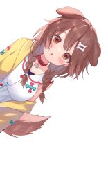 Rule 34 | 1girl, animal ears, blush, bone hair ornament, braid, brown eyes, brown hair, collar, detached sleeves, dog ears, dog girl, dog tail, hair ornament, highres, hololive, inugami korone, inugami korone (1st costume), jacket, long hair, looking at viewer, off shoulder, open clothes, open jacket, parted lips, red collar, ruka tou, shirt, simple background, solo, tail, twin braids, virtual youtuber, white background, white shirt, yellow jacket