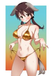 Rule 34 | 1girl, animal ears, bikini, blush, breasts, brown eyes, brown hair, collarbone, cowboy shot, dog ears, dog girl, dog tail, gertrud barkhorn, gold bikini, groin, hair ribbon, highres, long hair, looking at viewer, low twintails, momendoufu, navel, ribbon, side-tie bikini bottom, solo, strike witches, strike witches: aurora no majo, strike witches: suomus misfits squadron, sweat, swimsuit, tail, twintails, untied bikini, untying, world witches series