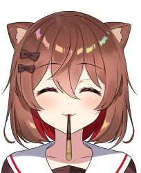 Rule 34 | 1girl, absurdres, akanegasaki reo, animal ears, bow, brown hair, close-up, closed eyes, closed mouth, collarbone, cottage project, facing viewer, food, hair between eyes, hair bow, hanasaki mahiru, highres, pocky, pocky kiss, pov, shared food, short hair, solo, transparent background, virtual youtuber