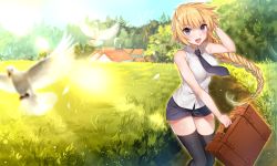 Rule 34 | 1girl, :d, bad id, bad pixiv id, bare shoulders, bird, black thighhighs, blonde hair, blue eyes, blush, braid, breasts, fate/apocrypha, fate/grand order, fate (series), forest, grass, jeanne d&#039;arc (fate), jeanne d&#039;arc (girl from orleans) (fate), jeanne d&#039;arc (ruler) (fate), long hair, looking at viewer, miniskirt, nature, open mouth, shirako miso, skirt, sleeveless, smile, solo, suitcase, teeth, thighhighs