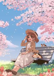 Rule 34 | 1girl, :d, arisa (aren), bench, bird, blue sky, blush, brown eyes, brown footwear, brown hair, brown jacket, calico, cardigan, cat, cherry blossoms, day, dress, falling petals, flower, grass, hand up, hat, highres, jacket, medium hair, open cardigan, open clothes, open mouth, original, outdoors, petals, pink flower, shoes, sitting, sky, smile, solo, tree, white dress