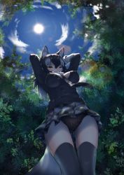 Rule 34 | 10s, 1girl, akuma (st.takuma), animal ears, arms behind head, arms up, backlighting, between breasts, black hair, black jacket, black panties, black thighhighs, blazer, blue eyes, blue sky, breasts, buttons, commentary request, covered erect nipples, cowboy shot, dappled sunlight, day, fisheye, from below, fur collar, gluteal fold, grey necktie, grey wolf (kemono friends), hair between eyes, heterochromia, impossible clothes, impossible jacket, jacket, kemono friends, lace, lingerie, long hair, long sleeves, looking down, medium breasts, miniskirt, multicolored hair, necktie, necktie between breasts, outdoors, panties, pantyshot, plaid, plaid necktie, plaid neckwear, plaid skirt, skirt, sky, solo, standing, sun, sunlight, tail, thighhighs, two-tone hair, underwear, upskirt, v-shaped eyebrows, white background, wolf ears, wolf girl, wolf tail, yellow eyes