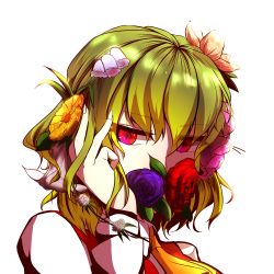 Rule 34 | 1girl, ascot, flower, green hair, hair flower, hair ornament, highres, itocoh, kazami yuuka, lily (flower), lily of the valley, plaid, plaid vest, portrait, red eyes, rose, short hair, solo, touhou, vest