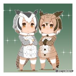 Rule 34 | 10s, 2girls, artist name, bad id, bad pixiv id, black hair, blush, border, brown eyes, brown hair, capriccyo, chibi, closed mouth, coat, crossed arms, eurasian eagle owl (kemono friends), frown, full body, green background, grey hair, hair between eyes, head wings, kemono friends, looking away, multicolored hair, multiple girls, northern white-faced owl (kemono friends), outline, pantyhose, sparkle, standing, tail, twitter username, white hair, white legwear, wings