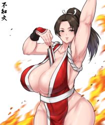 Rule 34 | 1girl, breasts, fatal fury, fire, huge breasts, ponytail, shiranui mai, solo