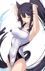 Rule 34 | 1girl, absurdres, alternate costume, animal ears, armpits, arms up, bandaid, bandaid on face, bandaid on nose, black hair, breasts, commentary request, competition swimsuit, cowboy shot, ears down, hair between eyes, high ponytail, highleg, highleg swimsuit, highres, horse ears, horse girl, horse tail, kodoneri (user quk1118), large breasts, long hair, mouth hold, narita brian (umamusume), one-piece swimsuit, one eye closed, ponytail, simple background, smile, solo, swimsuit, tail, umamusume, wet, wet clothes, wet swimsuit, white background, white one-piece swimsuit, yellow eyes