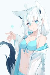 Rule 34 | 1girl, ahoge, animal ears, bikini, bikini under clothes, blue bikini, blue eyes, braid, breasts, cleavage, closed mouth, drawstring, fox ears, fox girl, fox tail, grey background, hand up, highres, hololive, hood, hood down, hooded jacket, jacket, long hair, long sleeves, looking at viewer, nagishiro mito, off shoulder, official alternate costume, open clothes, open jacket, shirakami fubuki, shirakami fubuki (hololive summer 2019), simple background, sleeves past wrists, smile, solo, star (symbol), stomach, swimsuit, tail, tail raised, very long hair, virtual youtuber, white hair, white jacket