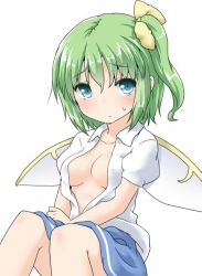 Rule 34 | 1boy, 1girl, animated, animated gif, blue eyes, blue skirt, blush, breast massage, breasts, breasts out, daiyousei, fairy, grabbing, grabbing another&#039;s breast, green hair, groping, heavy breathing, looking at viewer, massage, natsu no koucha, nipples, no bra, open clothes, open shirt, pov, pov hands, short hair, simple background, skirt, small breasts, tears, touhou, white background, wings
