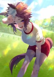 Rule 34 | 1girl, animal ears, artist name, blurry, blurry background, blush, breasts, brown hair, collarbone, day, ear piercing, feet out of frame, grass, gym uniform, hand on own knee, highres, horse ears, horse girl, horse tail, leaning forward, lens flare, looking at viewer, medium breasts, mejiro ryan (umamusume), multicolored hair, open mouth, outdoors, piercing, purple eyes, red shorts, shirt tucked in, short hair, shorts, smile, solo, sparkle, standing, sunlight, sweatdrop, tail, two-tone hair, umamusume, white hair, wiping sweat, yutsuka (amyucca)