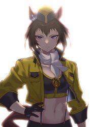 Rule 34 | 1girl, absurdres, animal ears, black gloves, brown hair, byerley turk (umamusume), commentary request, crop top, cropped jacket, garrison cap, gloves, hand on own hip, hat, highres, horse ears, jacket, long sleeves, looking at viewer, midriff, miyoshi (miyoshi sikb), navel, open clothes, open jacket, purple eyes, scar, scar across eye, short hair, simple background, solo, stomach, umamusume, upper body, white background, yellow jacket