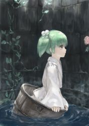 Rule 34 | 1girl, bucket, dark, flower, from side, green hair, japanese clothes, kimono, kisume, masuchi, plant, short hair, short twintails, smile, solo, touhou, twintails, water, well
