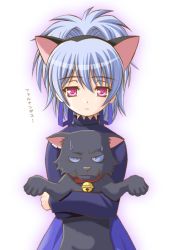 Rule 34 | 00s, 1girl, animal ears, black cat, cat, cat ears, darker than black, mao (darker than black), shiumai, solo, teardrop, yin (darker than black)