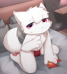 Rule 34 | 1boy, absurdres, bed, cub, fundoshi, furry, furry male, highres, japanese clothes, male focus, original, pawpads, shiroi zit, spread legs, topless, underwear