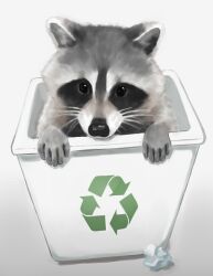 Rule 34 | 1other, absurdres, arrow (symbol), highres, in trash can, looking at viewer, original, raccoon, recycle bin, recycling symbol, solo, tagme, trash can, trashpanda 11b