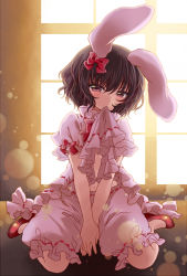 Rule 34 | 1girl, animal ears, backlighting, black hair, bloomers, blush, bow, breasts, clothes lift, covering privates, covering crotch, dress, dress lift, eyebrows, hair bow, highres, inaba tewi, indoors, lifted by self, looking at viewer, midriff, mouth hold, navel, pink eyes, rabbit ears, red footwear, seidou (tukinomiyako), shoes, short hair, sitting, small breasts, solo, touhou, underboob, underwear, v arms, wariza, window