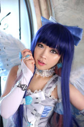 Rule 34 | angel wings, asian, bow, brown eyes, cosplay, hair bow, jewelry, panty &amp; stocking with garterbelt, photo (medium), purple hair, spiral cats, stocking (psg), wings