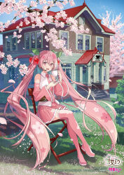 Rule 34 | 1girl, akamoku, cherry blossoms, cup, grass, hatsune miku, highres, house, pink hair, pink thighhighs, sakura miku, sitting, solo, thighhighs, twintails, vocaloid