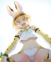 Rule 34 | 10s, 1girl, animal ears, backlighting, blush, bow, bowtie, crop top, crop top overhang, elbow gloves, excited, from below, gloves, green ribbon, hair between eyes, headband, heavy breathing, highres, kemono friends, midriff, navel, pov, print bow, print bowtie, ribbon, serval (kemono friends), serval print, shiny skin, shirt, sleeveless, sleeveless shirt, solo, sparkling eyes, wrist ribbon, yellow bow, yellow bowtie, yuzuhoge