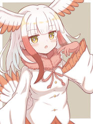 Rule 34 | 1girl, bird tail, blunt bangs, blush, breasts, commentary request, feathered wings, frilled sleeves, frills, fur-trimmed jacket, fur trim, gloves, grey background, hand up, head wings, highres, jacket, japanese crested ibis (kemono friends), kemono friends, long hair, looking at viewer, multicolored hair, neck ribbon, parted lips, red eyes, red gloves, red ribbon, red skirt, ribbon, shirt, skirt, small breasts, solo, sunanuko (ramuneko), tail, two-tone background, two-tone hair, white background, white hair, white shirt, wings, yellow eyes