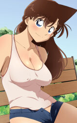 Rule 34 | 1girl, blue eyes, breasts, brown hair, covered erect nipples, female focus, highres, large breasts, long hair, meitantei conan, mouri ran, poron (pixiv id 17549041), smile, tms entertainment