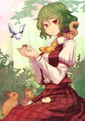 Rule 34 | 1girl, animal, ascot, bird, collared shirt, cupping hands, green hair, hedgehog, juliet sleeves, kazami yuuka, long sleeves, looking at viewer, own hands together, plaid, plaid skirt, plaid vest, puffy sleeves, rabbit, red eyes, seiza, shirt, sitting, skirt, squirrel, terrajin, touhou, vest