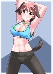Rule 34 | 1girl, absurdres, animal ears, armpits, arms up, black pants, blush, breasts, brown eyes, brown hair, cleavage, closed mouth, dog ears, dog tail, gertrud barkhorn, hair ribbon, highres, hiroshi (hunter-of-kct), large breasts, long hair, looking at viewer, muscular, muscular female, navel, pants, ribbon, smile, solo, strike witches, tail, twintails, world witches series