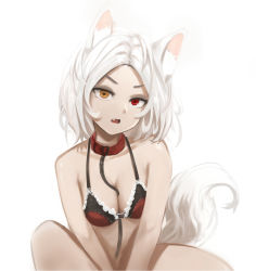 Rule 34 | 1girl, animal ears, bad id, bad pixiv id, bra, breasts, cat ears, cleavage, collar, collarbone, commentary, fang, heart, heart-shaped pupils, heterochromia, highres, lace, lace bra, looking at viewer, medium breasts, medium hair, open mouth, original, raeran, red bra, red eyes, short sleeves, simple background, sitting, solo, symbol-shaped pupils, tail, underwear, underwear only, white background, white hair, yellow eyes