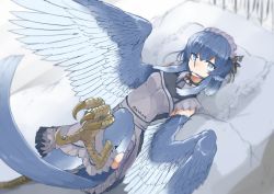 Rule 34 | 1girl, alternate costume, animal ears, bed, bird ears, bird legs, bird tail, bird wings, blue feathers, blue hair, blue wings, choker, dress, enmaided, feather hair, feathered wings, feathers, grey eyes, hair in own mouth, harpy, leg up, lying, maid, maid headdress, miura (rnd.jpg), monster girl, mouth hold, original, pillow, rnd.jpg (artist), solo, tail, talons, twitter username, winged arms, wings