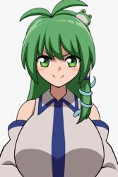 Rule 34 | 1girl, animated, animated gif, artist request, blush, bouncing breasts, breasts, closed mouth, clothes lift, frog hair ornament, green eyes, green hair, hair ornament, kochiya sanae, large breasts, long hair, looking at viewer, nipples, no bra, shirt lift, smile, solo, source request, touhou