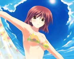 Rule 34 | 1girl, armpits, beach, bikini, blue sky, blush, breasts, brown eyes, brown hair, cleavage, cloud, cloudy sky, day, fisheye, floral print, flower, from below, front-tie bikini top, front-tie top, hair between eyes, holding, light rays, light smile, looking at viewer, medium breasts, outdoors, outstretched arms, print bikini, red hair, sarong, short hair, sideboob, sky, smile, solo, spread arms, sun, sunbeam, sunflower, sunlight, swimsuit, towel, underboob, unworn sarong, upper body