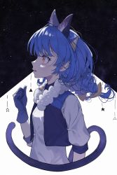Rule 34 | 1girl, absurdres, amino (li0a4), animal ear fluff, animal ears, blue gloves, blue hair, braid, cat ears, cat tail, cropped torso, from side, gloves, hair ornament, highres, long hair, low twintails, open mouth, precure, profile, shirt, sketch, sky, solo, star (sky), star twinkle precure, starry sky, tail, twin braids, twintails, upper body, white shirt, yellow eyes, yuni (precure)