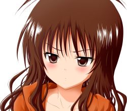 Rule 34 | 00s, 1girl, blush, brown eyes, brown hair, frown, highres, long hair, solo, to love-ru, transparent background, vector trace, yuuki mikan