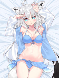 Rule 34 | 1girl, ahoge, animal ear fluff, animal ears, bikini, blue bikini, blue eyes, blue nails, braid, breasts, closed mouth, collarbone, commentary request, fingernails, fox ears, fox girl, fox tail, gluteal fold, highres, hololive, jacket, long hair, long sleeves, looking at viewer, lying, medium breasts, nail polish, navel, on back, open clothes, open jacket, shirakami fubuki, shirakami fubuki (hololive summer 2019), silver hair, single braid, smile, solo, swimsuit, tail, virtual youtuber, waterring, white jacket