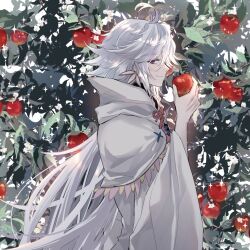 Rule 34 | 1boy, ahoge, apple, apple tree, black shirt, capelet, earrings, fate/grand order, fate (series), flower, food, from side, fruit, fruit tree, hair between eyes, highres, holding, holding food, holding fruit, hood, hood down, hooded capelet, jewelry, long hair, long sleeves, looking at viewer, male focus, merlin (fate), nayu tundora, profile, purple eyes, robe, shirt, sideways glance, smile, solo, sparkle, tree, turtleneck, upper body, white background, white capelet, white flower, white hair, white robe, wide sleeves