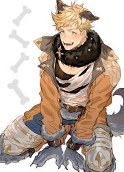 Rule 34 | 1boy, 5 (femfamme), animal ears, bara, black tank top, blonde hair, blue pants, blush, cropped jacket, fur collar, granblue fantasy, jacket, large pectorals, male focus, muscular, muscular male, official alternate costume, open clothes, open jacket, open mouth, orange jacket, pants, pectorals, shirt, short hair, smile, solo, tank top, torn clothes, torn shirt, vane (granblue fantasy), white shirt, wolf boy, wolf ears, wolf paws