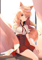 Rule 34 | 10s, 1girl, animal ear fluff, animal ears, arm support, blush, brown eyes, closed mouth, commentary request, curtains, day, fate/extra, fate/extra ccc, fate/extra ccc fox tail, fate (series), fingernails, fox ears, fox girl, fox tail, hair between eyes, hakama, hakama short skirt, hakama skirt, highres, japanese clothes, light brown hair, long hair, looking at viewer, red hakama, ribbon-trimmed hakama, ribbon trim, shirt, short sleeves, side slit, sitting, sitting in window, skirt, solo, soupchan, sunlight, suzuka gozen (fate), tail, tail raised, transparent, very long hair, white shirt, window