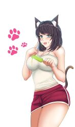 Rule 34 | 1girl, animal ears, breasts, cat ears, cat girl, cat tail, cleavage, dolphin shorts, food, looking at viewer, popsicle, sd 81, shorts, simple background, tail, tank top, white background