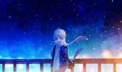 Rule 34 | 1boy, blue scarf, blue theme, breath, covered mouth, hands in pockets, jacket, looking at viewer, male focus, mint5464, night, night sky, original, outdoors, railing, scarf, scarf over mouth, sky, snowing, solo, star (sky), starry sky, sweater, white hair, wind