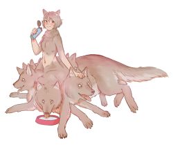 Rule 34 | 1girl, animal ears, blush, bottle, conjoined, dog, dungeon meshi, looking at viewer, monster girl, multiple heads, navel, scylla, smile, solo, water bottle, wolf ears, wolf girl