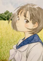 Rule 34 | 1girl, blue sailor collar, blush, brown eyes, brown hair, commentary request, expressionless, field, highres, looking at viewer, nanase774938, neckerchief, original, outdoors, painting (medium), rice (plant), sailor collar, school uniform, serafuku, shirt, short hair, sky, solo, traditional media, upper body, watercolor (medium), white neckerchief, white shirt