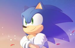Rule 34 | 1boy, animal nose, closed mouth, furry, furry male, gloves, green eyes, kiioki11, looking ahead, male focus, petals, sky, smile, solo, sonic (series), sonic frontiers, sonic the hedgehog, upper body, white gloves