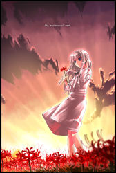 Rule 34 | 1girl, black border, black ribbon, blue eyes, blurry, border, circle name, cloud, cloudy sky, cowboy shot, depth of field, dress, english text, evening, flower, grass, hand in own hair, hand up, highres, holding, holding flower, long hair, looking ahead, matsumoto tomoki, original, parted lips, red flower, red sky, ribbon, sidelocks, silver hair, sky, solo, spider lily, sun, sunlight, sunset, watermark, web address, white dress, wind